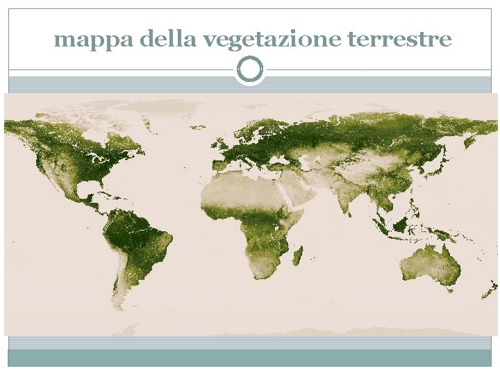  mappa della vegetazione terrestre 