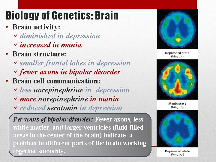 Biology of Genetics: Brain • Brain activity: ü diminished in depression ü increased in