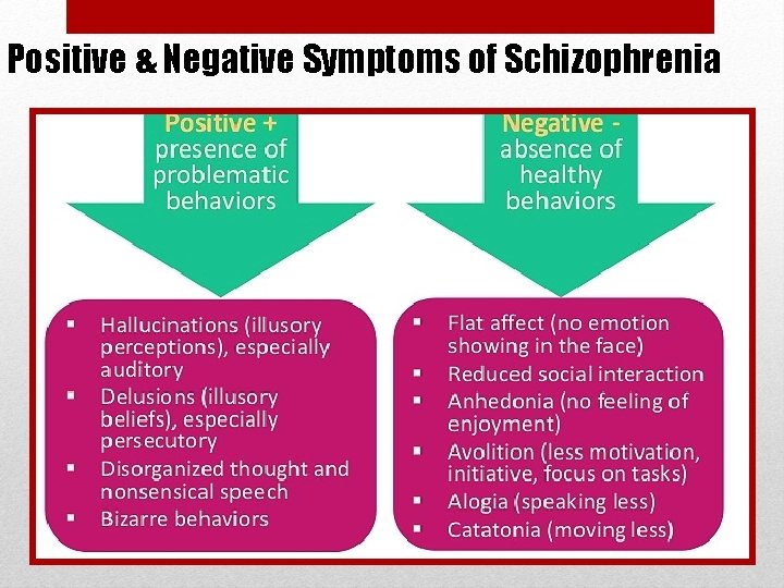 Positive & Negative Symptoms of Schizophrenia 