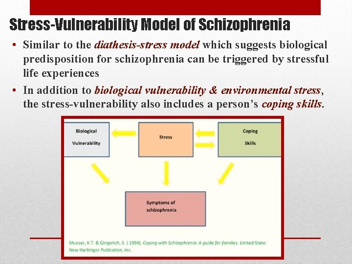 Stress-Vulnerability Model of Schizophrenia • Similar to the diathesis-stress model which suggests biological predisposition
