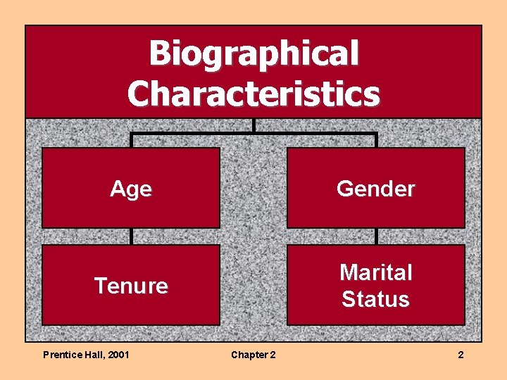 Biographical Characteristics Age Gender Tenure Marital Status Prentice Hall, 2001 Chapter 2 2 