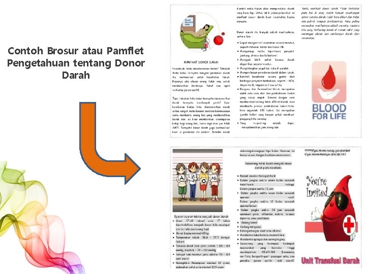 Contoh Brosur atau Pamflet Pengetahuan tentang Donor Darah Contoh Brosur atau Pamflet Pengetahuan tentang Donor Darah