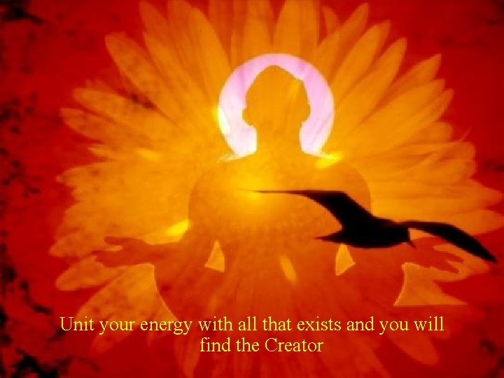 Unit your energy with all that exists and you will find the Creator 