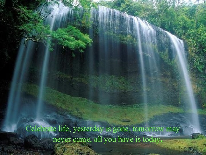 Celebrate life, yesterday is gone, tomorrow may never come, all you have is today.