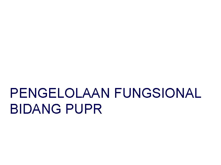 PENGELOLAAN FUNGSIONAL BIDANG PUPR 