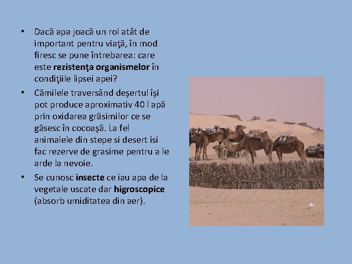  • Dacã apa joacã un rol atât de important pentru viaţã, în mod