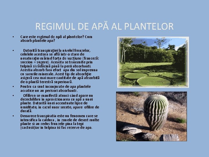 REGIMUL DE APĂ AL PLANTELOR • • • Care este regimul de apã al