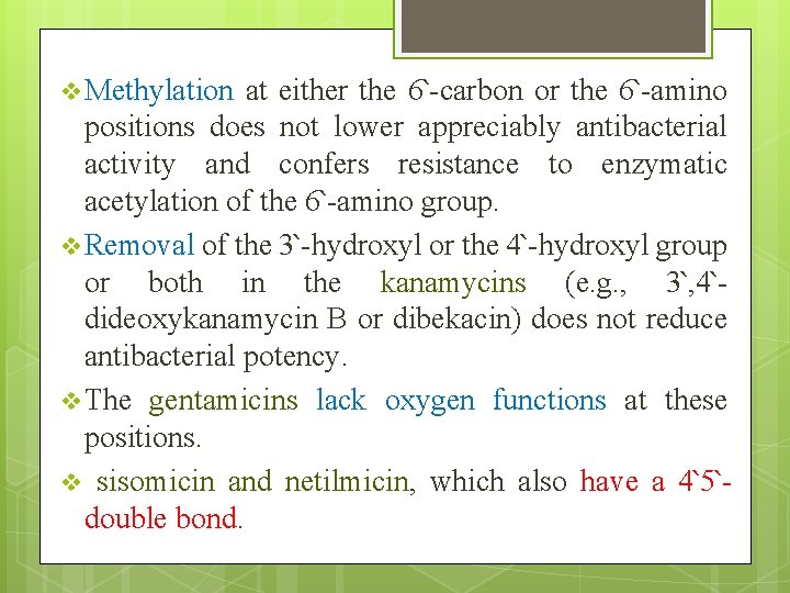 v Methylation at either the 6՝-carbon or the 6՝-amino positions does not lower appreciably