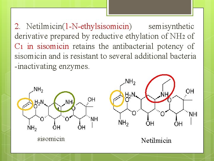 2. Netilmicin(1 -N-ethylsisomicin) semisynthetic derivative prepared by reductive ethylation of NH 2 of C