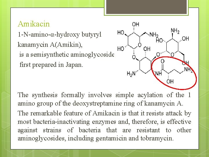 Amikacin 1 -N-amino-α-hydroxy butyryl kanamycin A(Amikin), is a semisynthetic aminoglycoside first prepared in Japan.