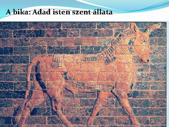 A bika: Adad isten szent állata 