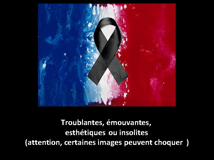 Troublantes, émouvantes, esthétiques ou insolites (attention, certaines images peuvent choquer ) 