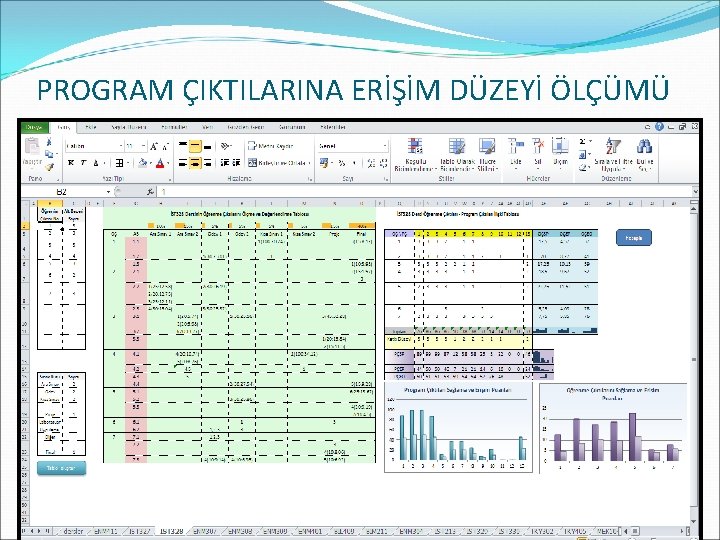 PROGRAM ÇIKTILARINA ERİŞİM DÜZEYİ ÖLÇÜMÜ 