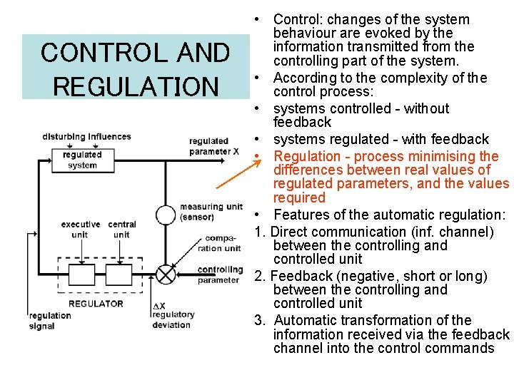 CONTROL AND REGULATION • Control: changes of the system behaviour are evoked by the