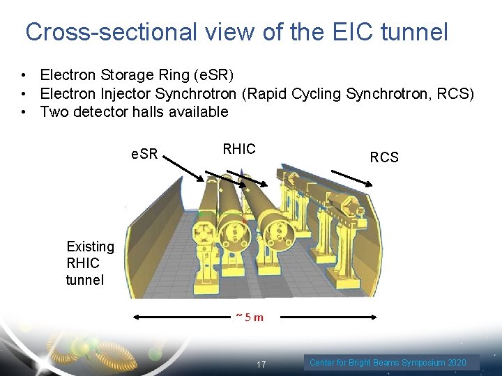 Cross-sectional view of the EIC tunnel • Electron Storage Ring (e. SR) • Electron