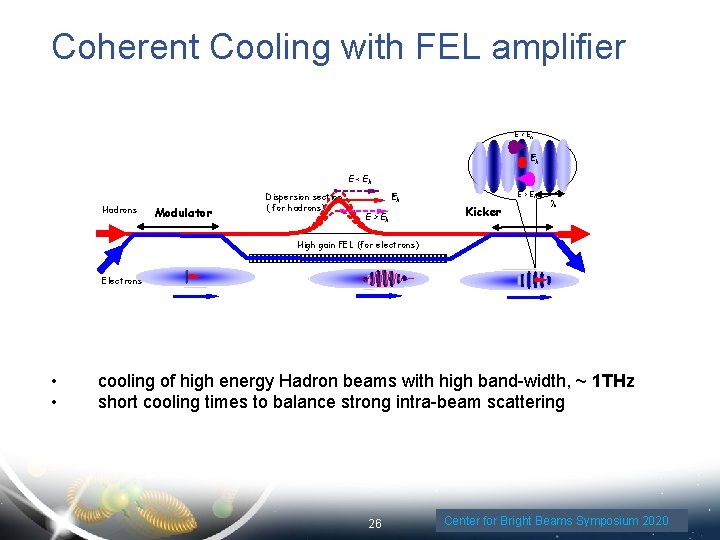 Coherent Cooling with FEL amplifier E < Eh Eh E < Eh Hadrons Modulator