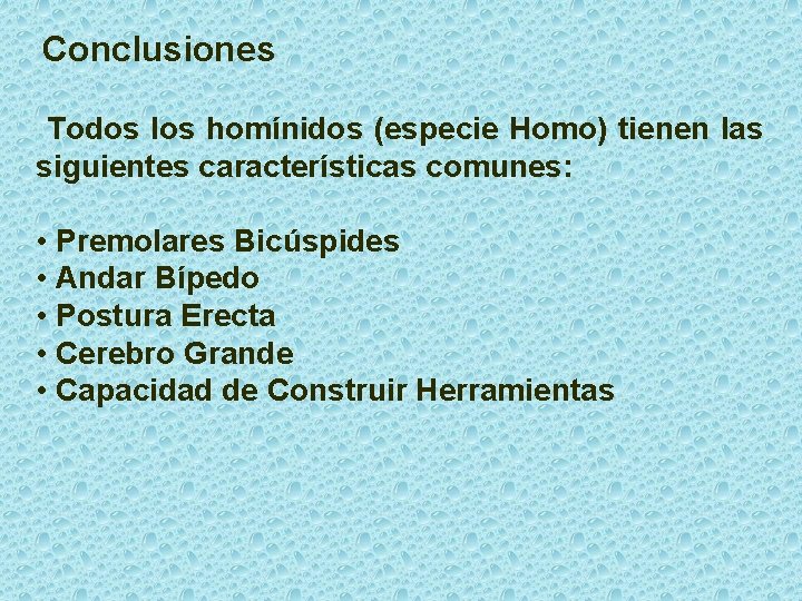 Conclusiones Todos los homínidos (especie Homo) tienen las siguientes características comunes: • Premolares Bicúspides