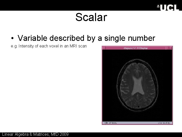 Scalar • Variable described by a single number e. g. Intensity of each voxel Scalar • Variable described by a single number e. g. Intensity of each voxel