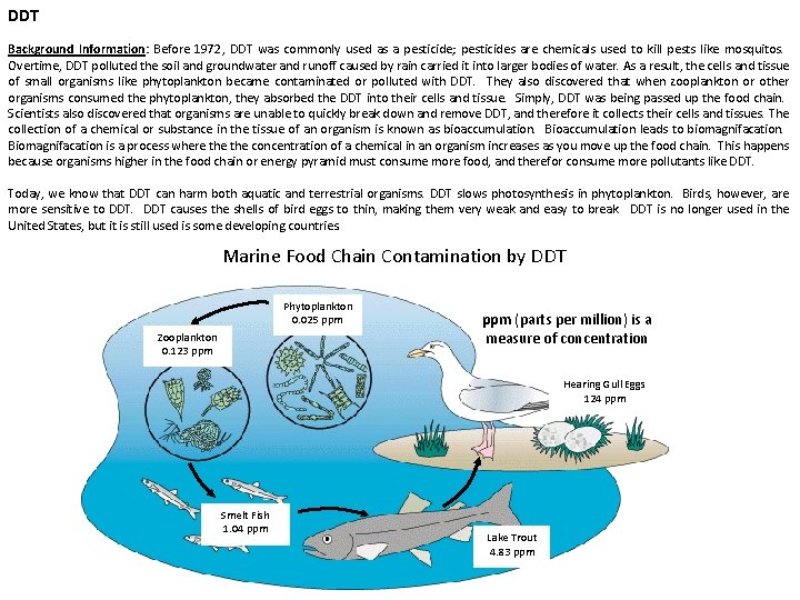 DDT Background Information: Before 1972, DDT was commonly used as a pesticide; pesticides are