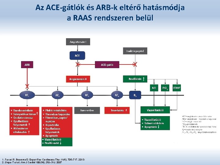 Az ACE-gátlók és ARB-k eltérő hatásmódja a RAAS rendszeren belül 1. Ferrari R, Boersma