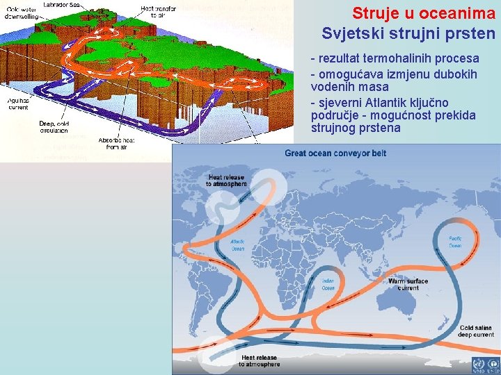 Struje u oceanima Svjetski strujni prsten - rezultat termohalinih procesa - omogućava izmjenu dubokih