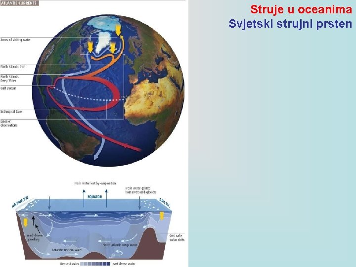 Struje u oceanima Svjetski strujni prsten 