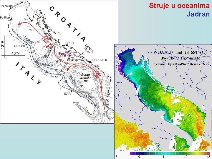 Struje u oceanima Jadran 