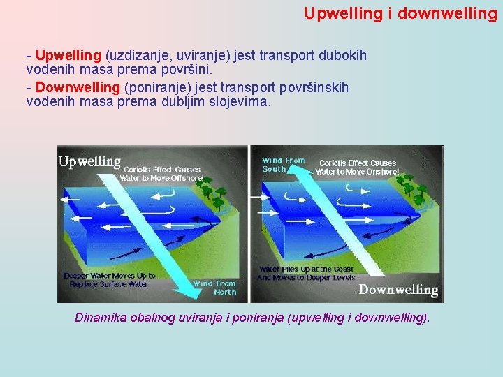 Upwelling i downwelling - Upwelling (uzdizanje, uviranje) jest transport dubokih vodenih masa prema površini.