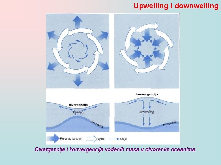 Upwelling i downwelling Divergencija i konvergencija vodenih masa u otvorenim oceanima. 