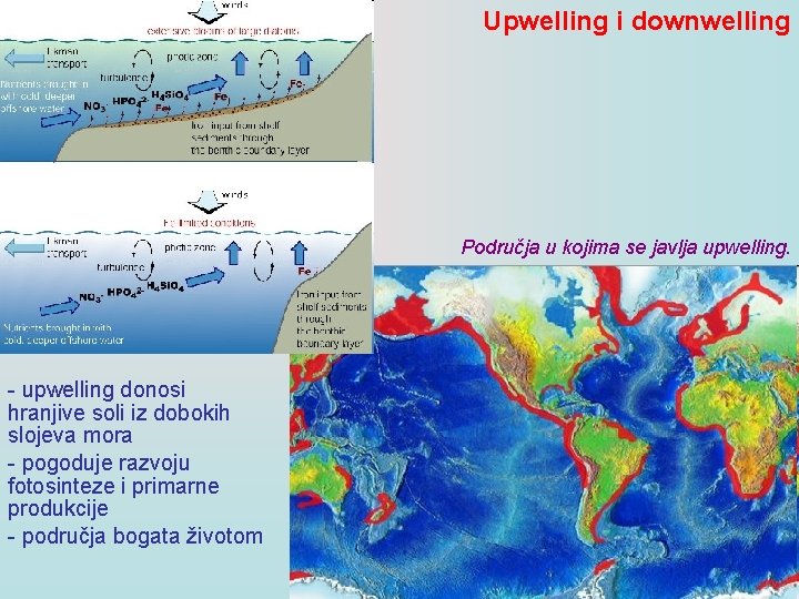 Upwelling i downwelling Područja u kojima se javlja upwelling. - upwelling donosi hranjive soli