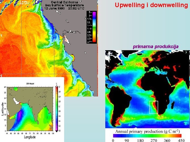 Upwelling i downwelling primarna produkcija 