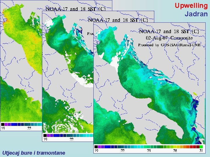 Upwelling Jadran Utjecaj bure i tramontane 