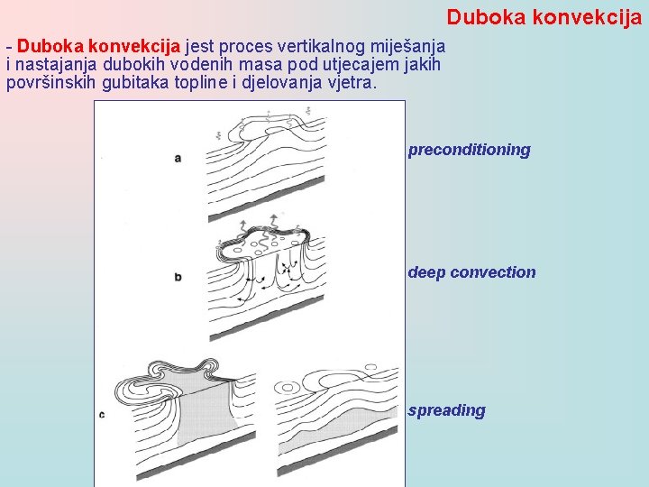 Duboka konvekcija - Duboka konvekcija jest proces vertikalnog miješanja i nastajanja dubokih vodenih masa