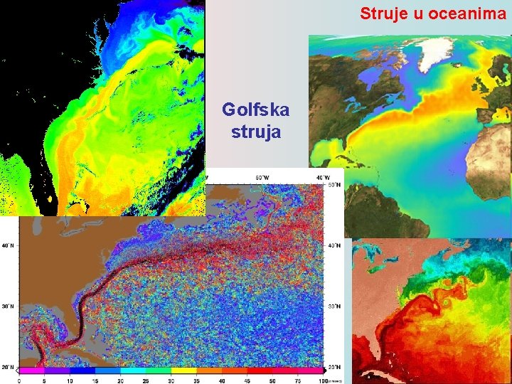 Struje u oceanima Golfska struja 