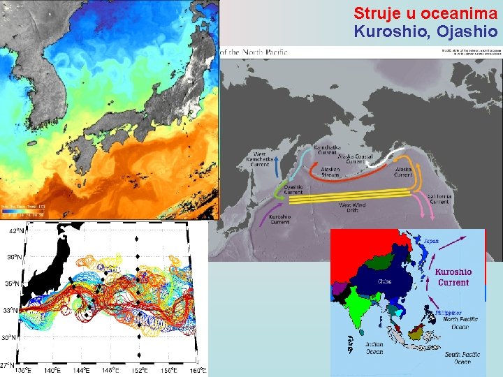 Struje u oceanima Kuroshio, Ojashio 