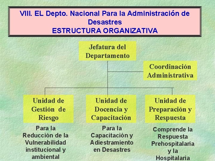 VIII. EL Depto. Nacional Para la Administración de Desastres ESTRUCTURA ORGANIZATIVA Jefatura del Departamento