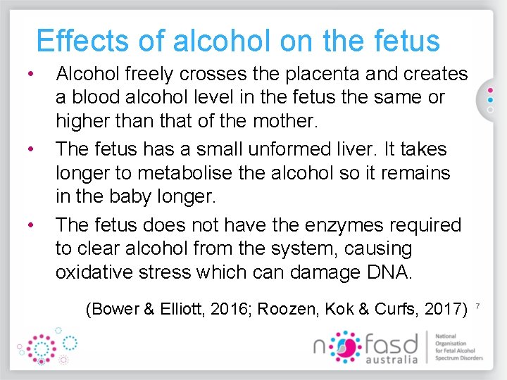 Effects of alcohol on the fetus • • • Alcohol freely crosses the placenta