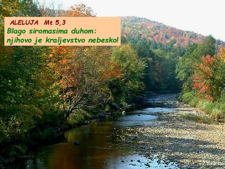 ALELUJA Mt 5, 3 Blago siromasima duhom: njihovo je kraljevstvo nebesko! 