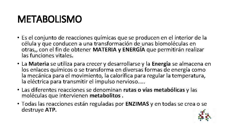 METABOLISMO • Es el conjunto de reacciones químicas que se producen en el interior