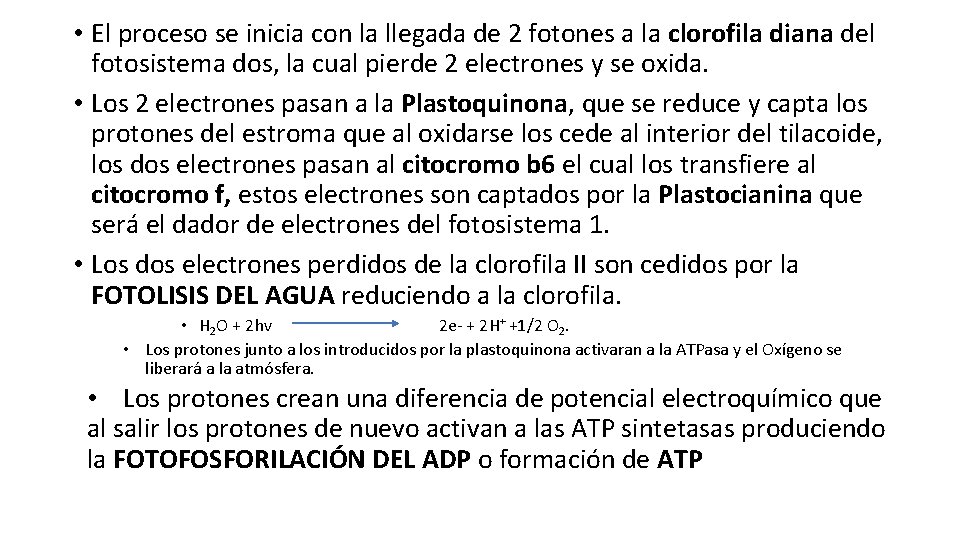  • El proceso se inicia con la llegada de 2 fotones a la