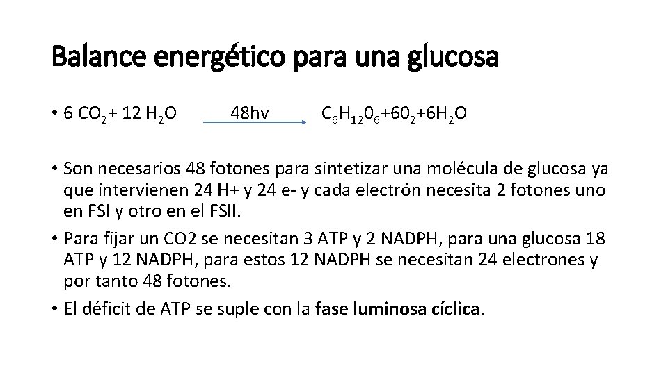 Balance energético para una glucosa • 6 CO 2+ 12 H 2 O 48