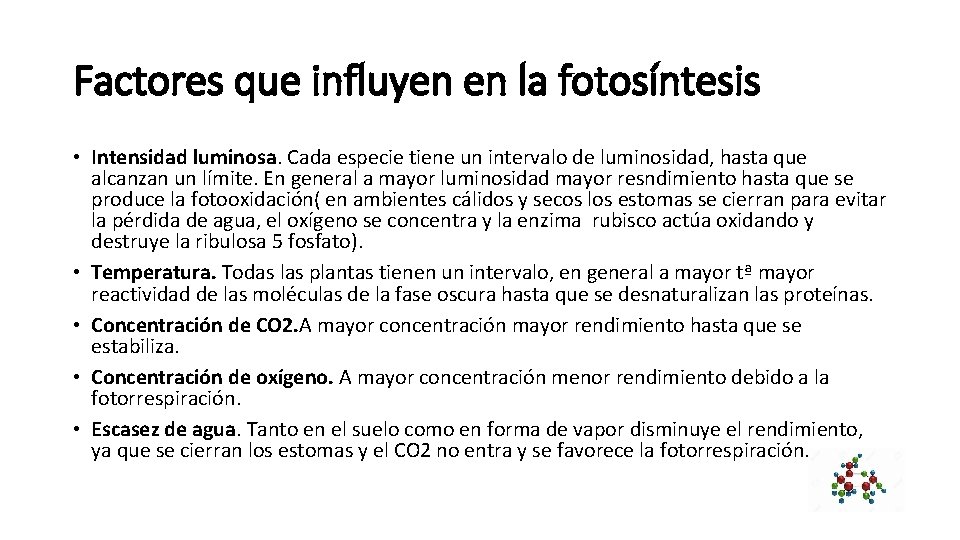 Factores que influyen en la fotosíntesis • Intensidad luminosa. Cada especie tiene un intervalo