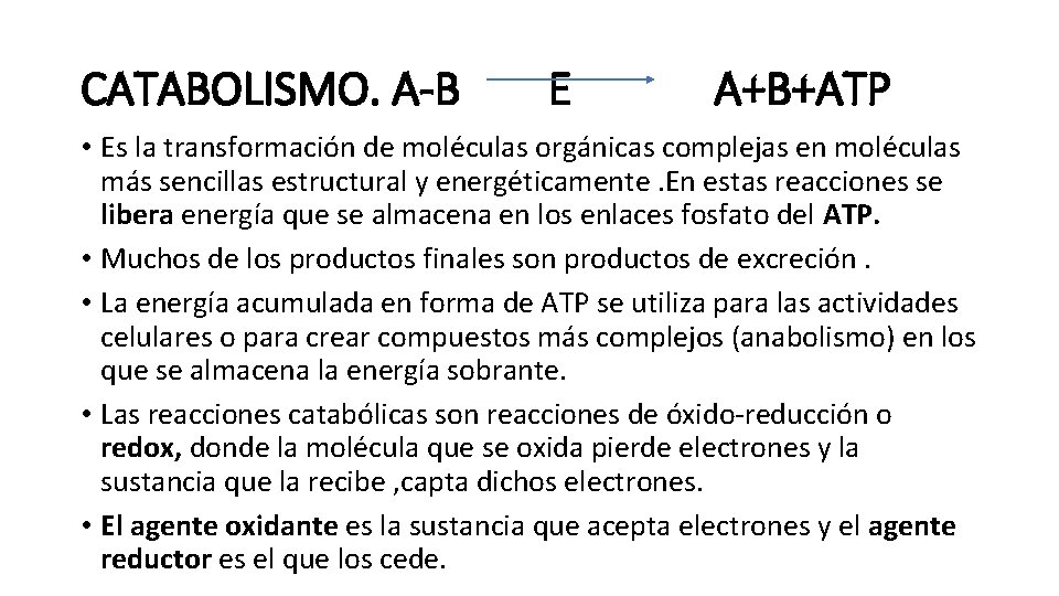 CATABOLISMO. A-B E A+B+ATP • Es la transformación de moléculas orgánicas complejas en moléculas