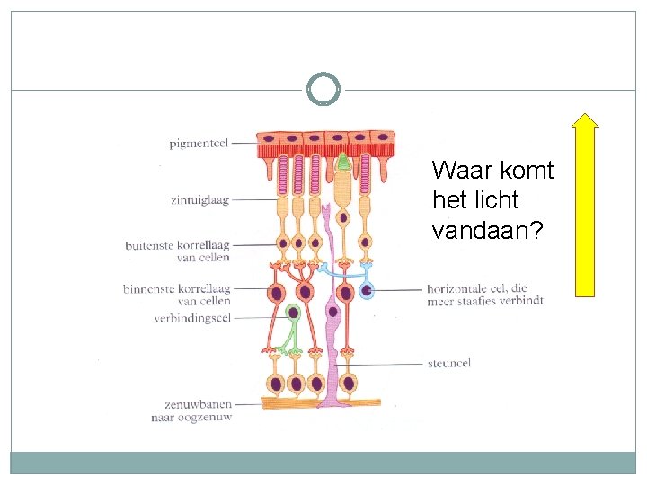 Waar komt het licht vandaan? 