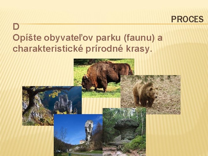 D Opíšte obyvateľov parku (faunu) a charakteristické prírodné krasy. PROCES 