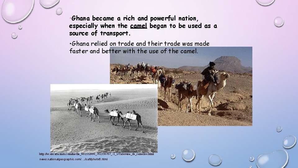  • Ghana became a rich and powerful nation, especially when the camel began