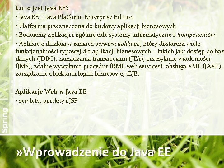 Co to jest Java EE? • Java EE = Java Platform, Enterprise Edition •