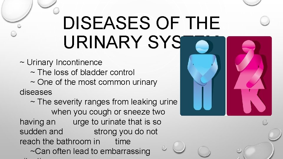 DISEASES OF THE URINARY SYSTEM ~ Urinary Incontinence ~ The loss of bladder control