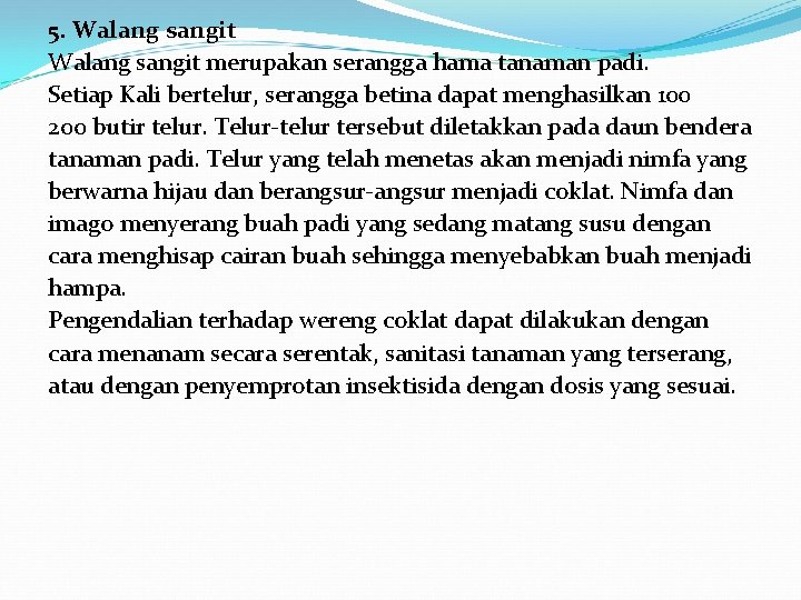 5. Walang sangit merupakan serangga hama tanaman padi. Setiap Kali bertelur, serangga betina dapat