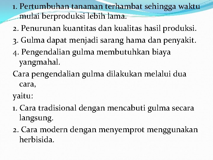1. Pertumbuhan tanaman terhambat sehingga waktu mulai berproduksi lebih lama. 2. Penurunan kuantitas dan